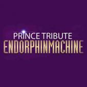 Prince Tribute EndorphinMachine